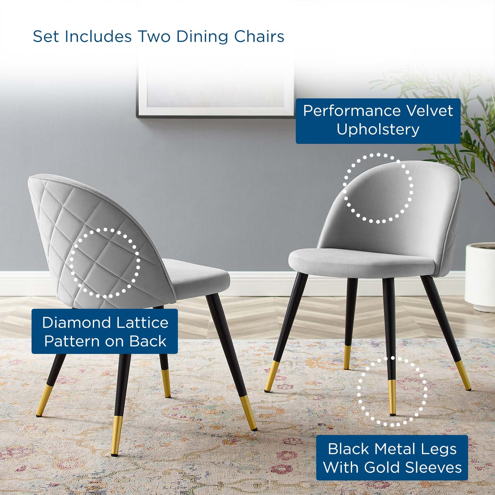 Cordial Performance Velvet Dining Chairs - Set of 2-Dining Chair-Modway-Wall2Wall Furnishings