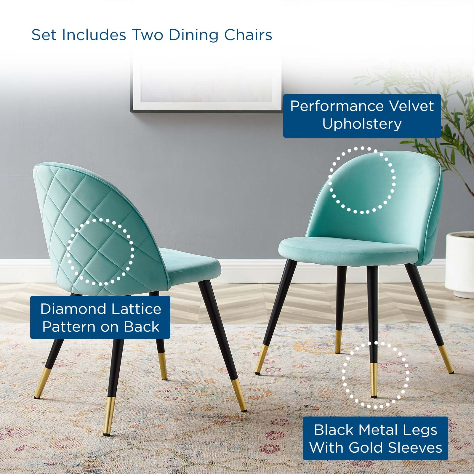 Cordial Performance Velvet Dining Chairs - Set of 2-Dining Chair-Modway-Wall2Wall Furnishings
