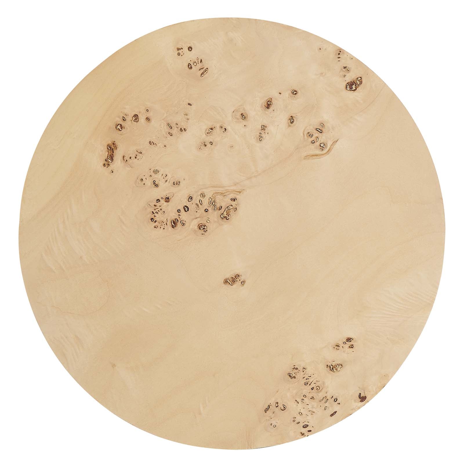 Cosmos 16" Round Burl Wood Side Table-Table-Modway-Wall2Wall Furnishings