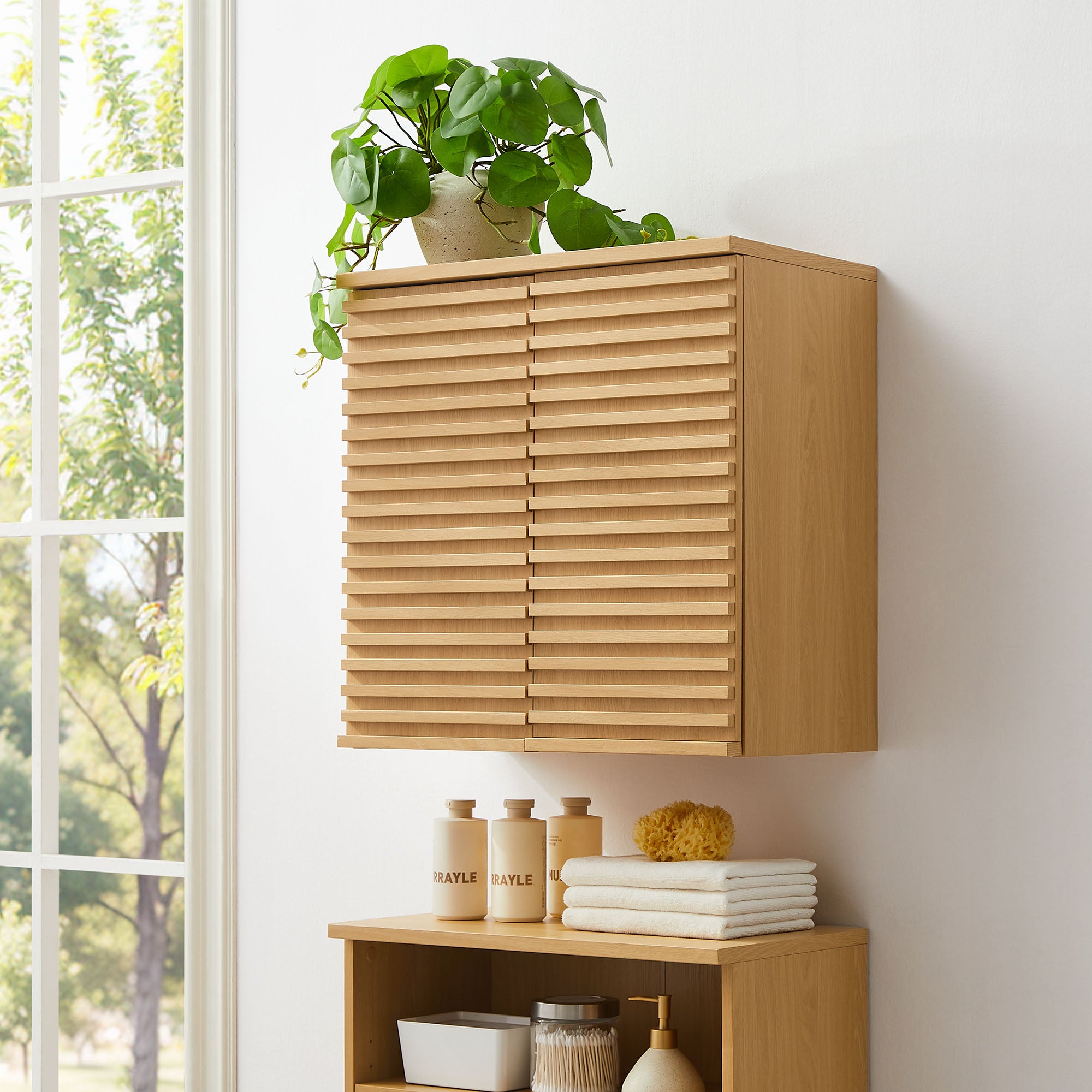 Render Wall Mounted Bathroom Cabinet