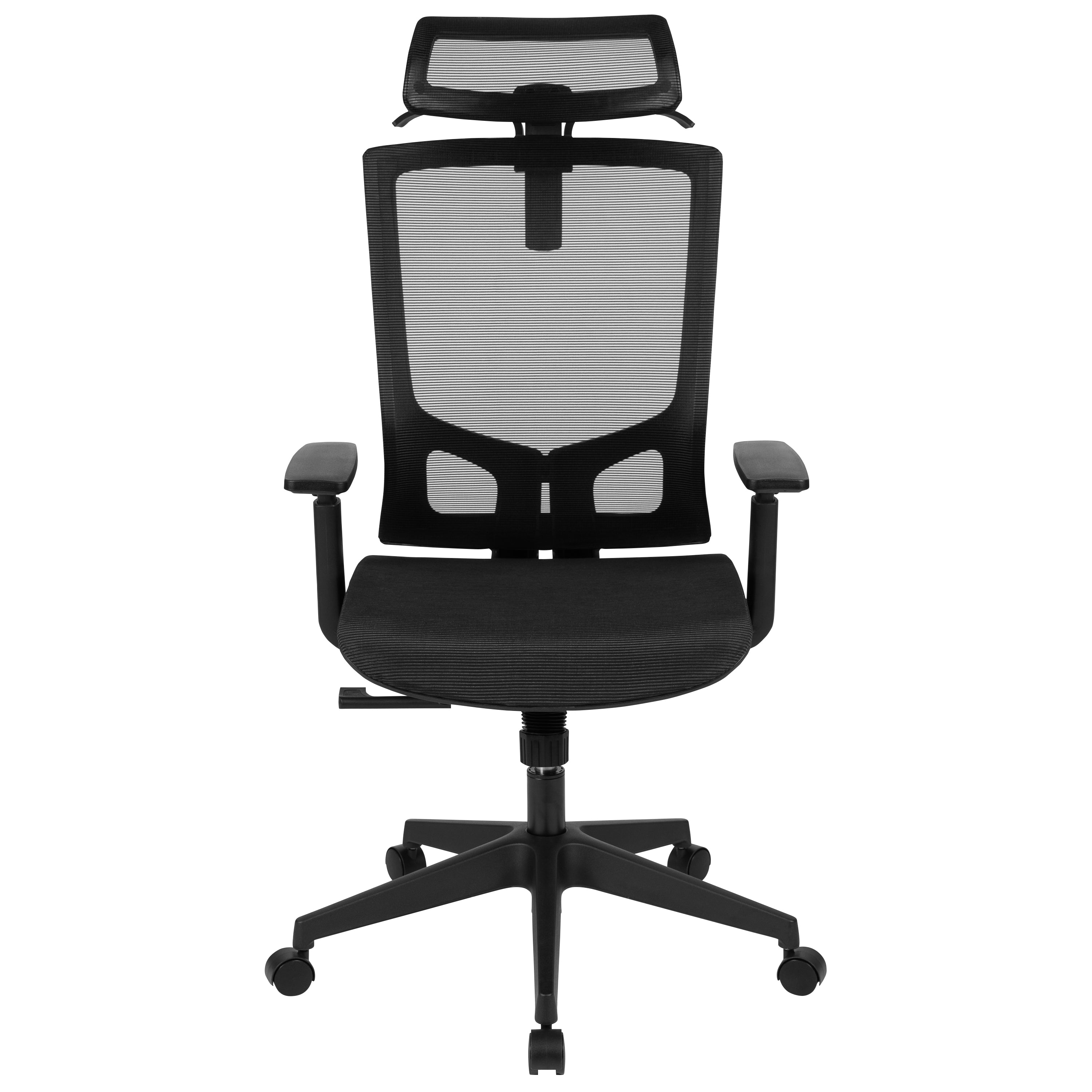 Ergonomic Mesh Office Chair with Synchro-Tilt, Pivot Adjustable Headrest, Lumbar Support, Coat Hanger and Adjustable Arms