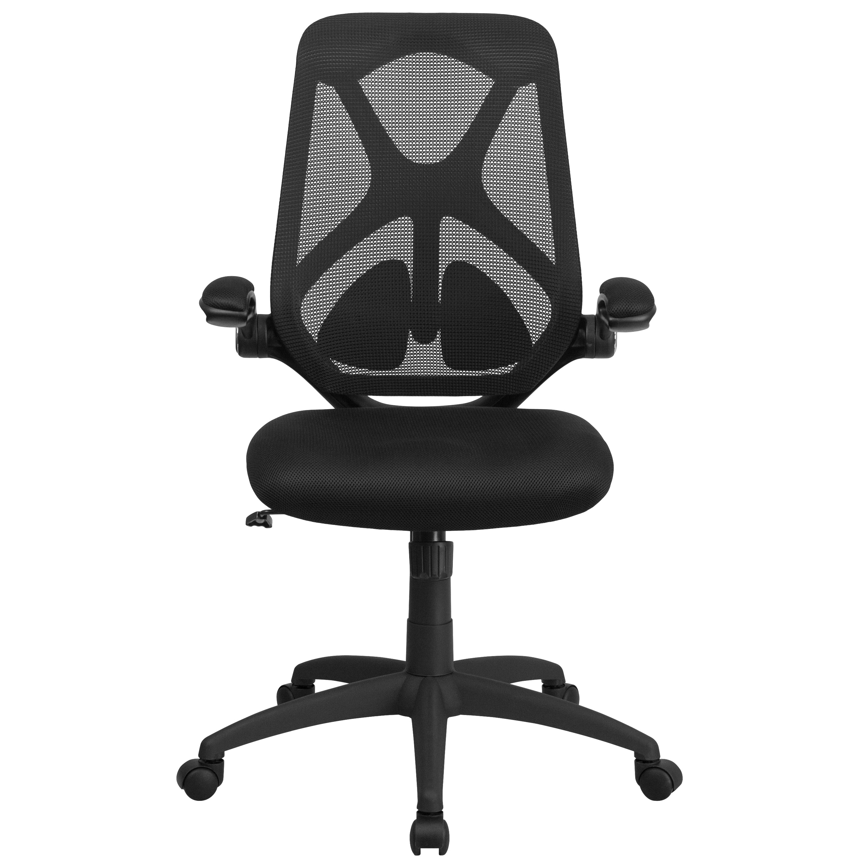 High Back Mesh Executive Swivel Ergonomic Office Chair with Adjustable Lumbar, 2-Paddle Control and Flip-Up Arms-Office Chair-Flash Furniture-Wall2Wall Furnishings