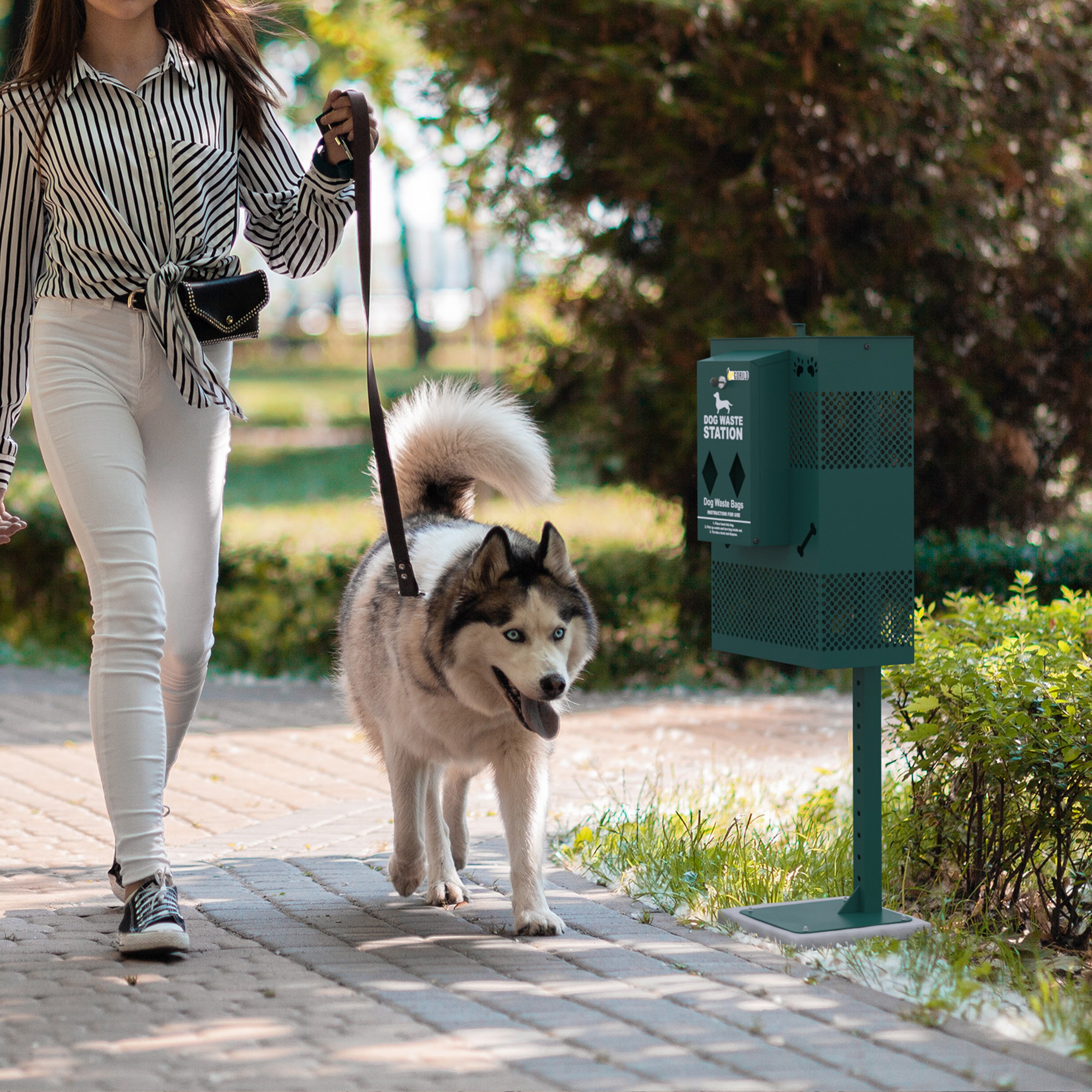 Kessler Compact Dog Waste Station with Rectangular Lidded Trash Can and Locking Waste Bag Dispenser-Dog Waste Station-Flash Furniture-Wall2Wall Furnishings