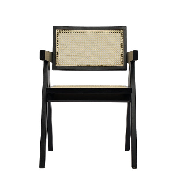 Modrest Aurora Modern Rattan and Wenge Dining Arm Chair-Dining Chair-VIG-Wall2Wall Furnishings