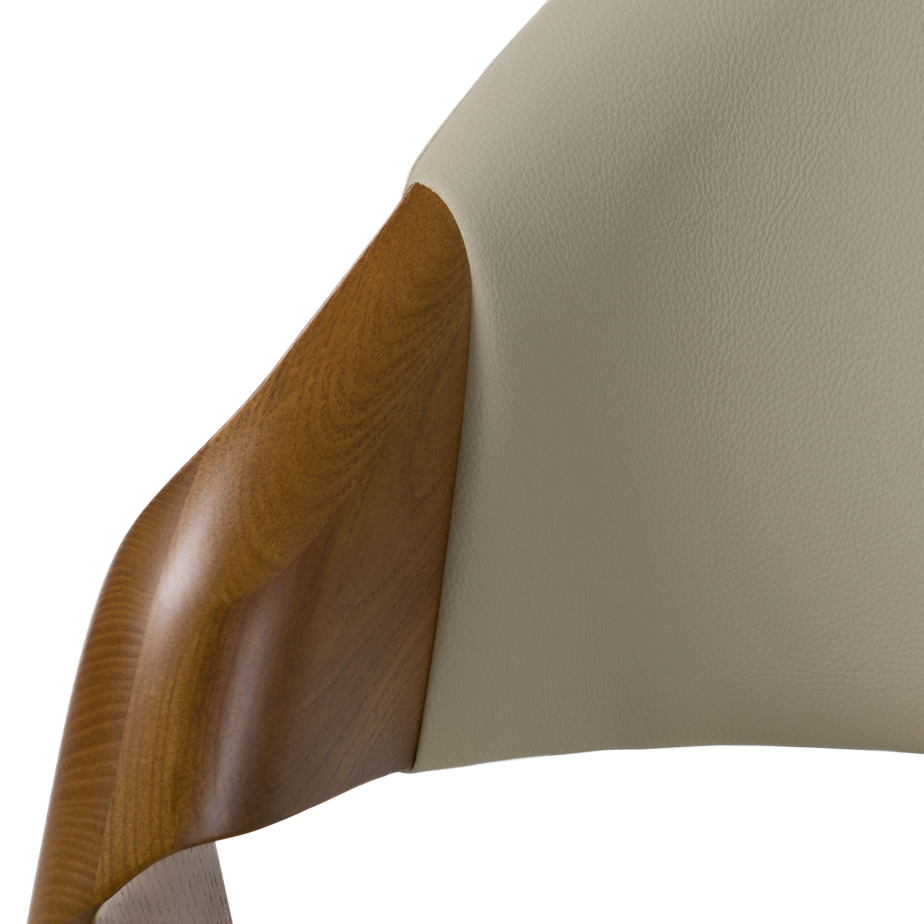 Modrest Arlo MidCentury Dining Chair (Set of 2)