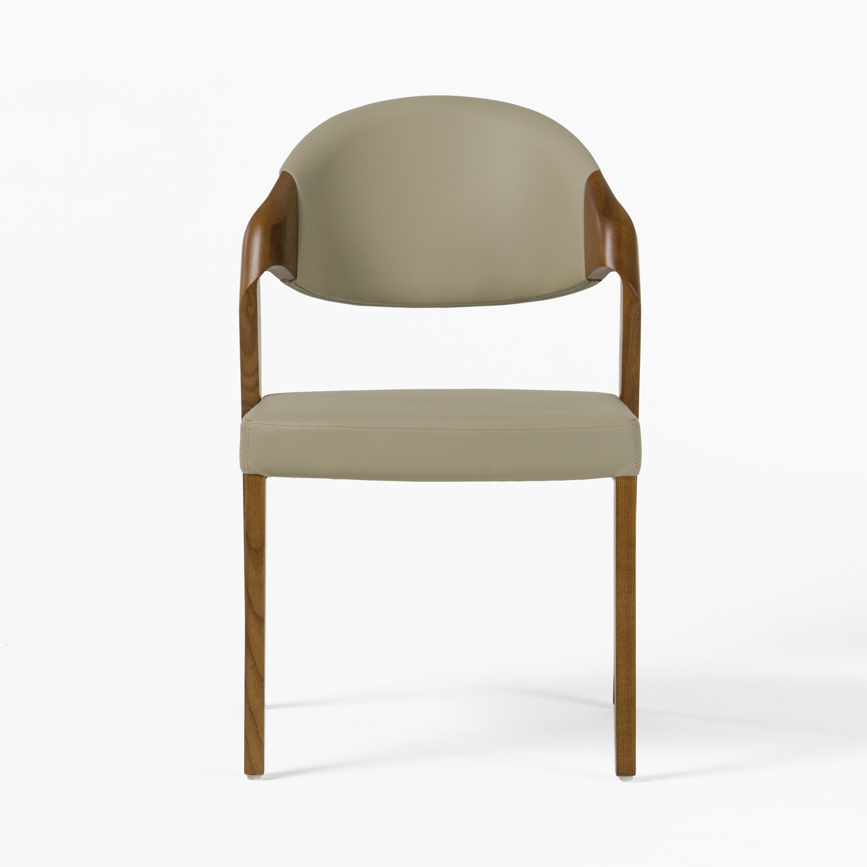 Modrest Arlo MidCentury Dining Chair (Set of 2)