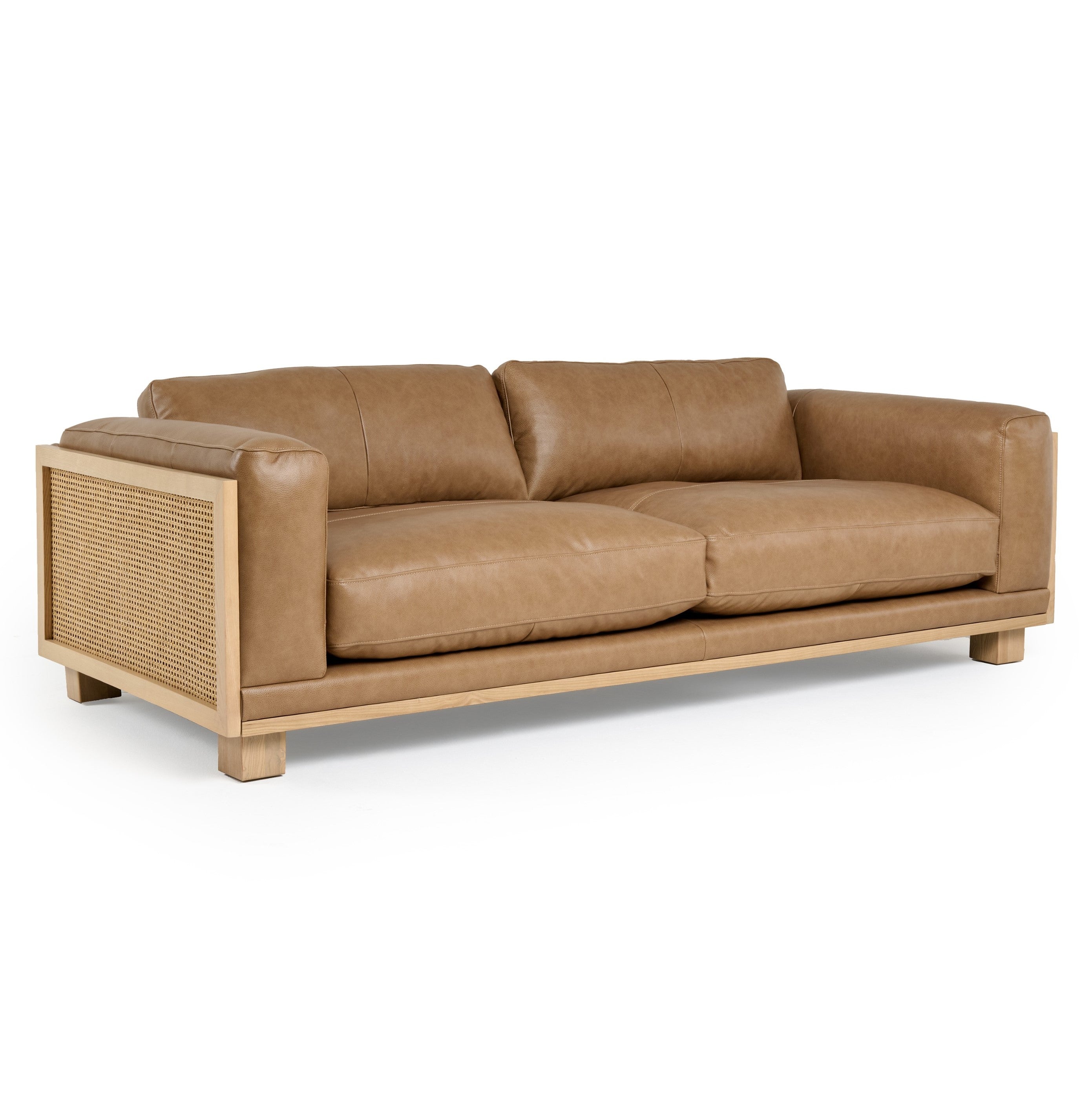 Danson Modern Leather and Wicker Sofa