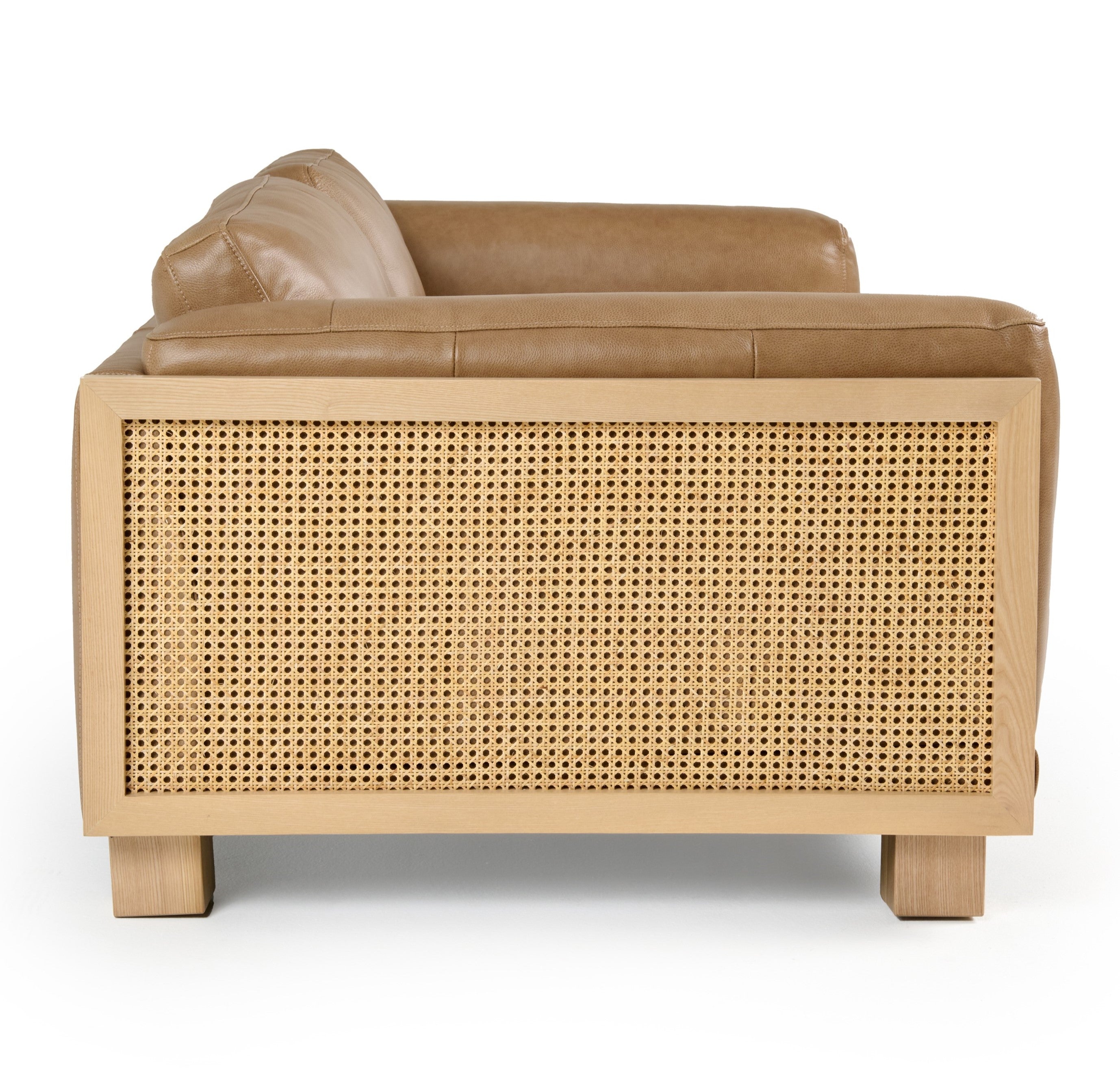 Danson Modern Leather and Wicker Sofa