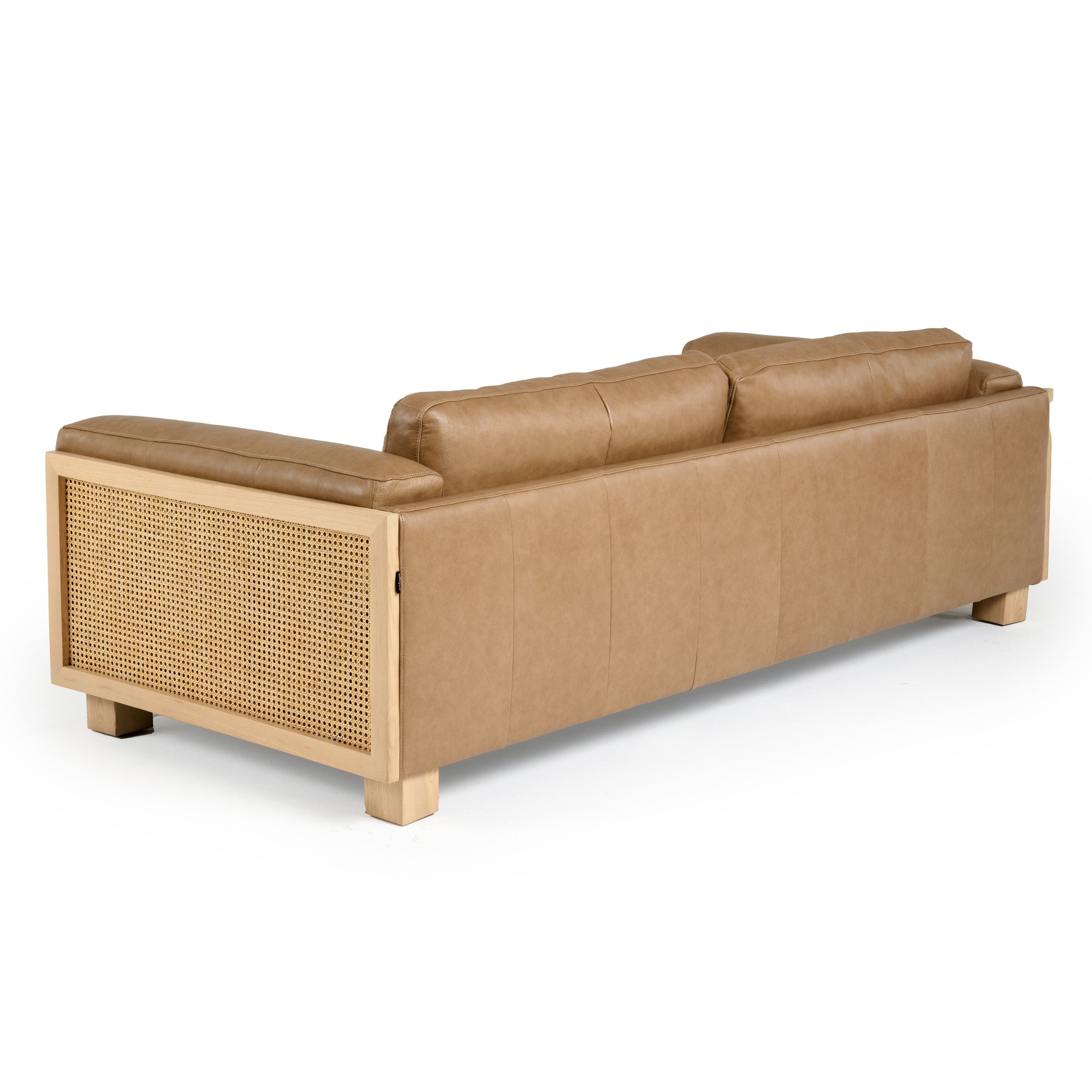 Danson Modern Leather and Wicker Sofa