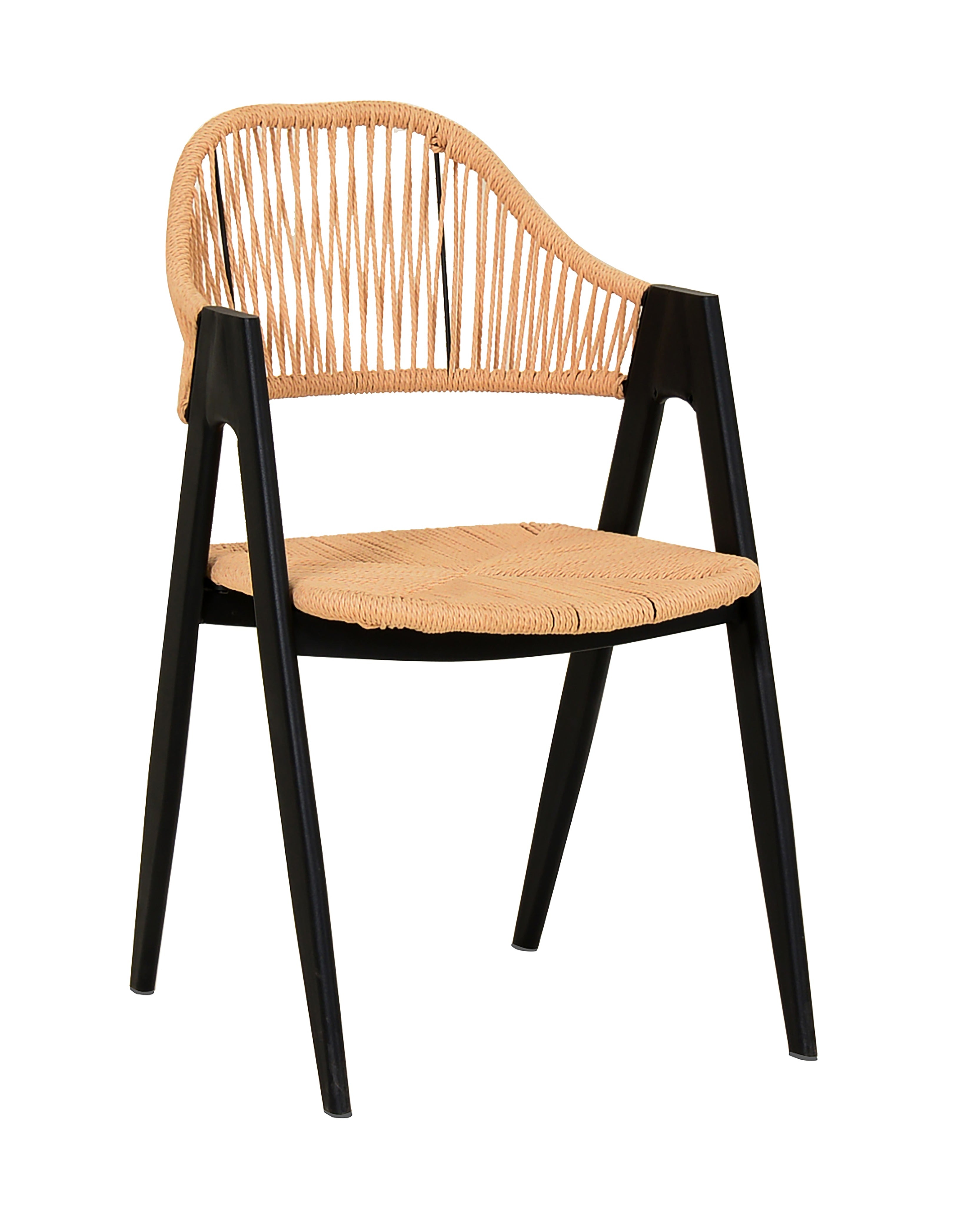 Modrest Gayle - Modern Rattan Dining Chair Set of 2-Dining Chair-VIG-Wall2Wall Furnishings