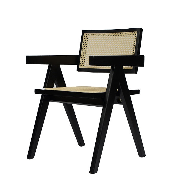 Modrest Aurora Modern Rattan and Wenge Dining Arm Chair-Dining Chair-VIG-Wall2Wall Furnishings