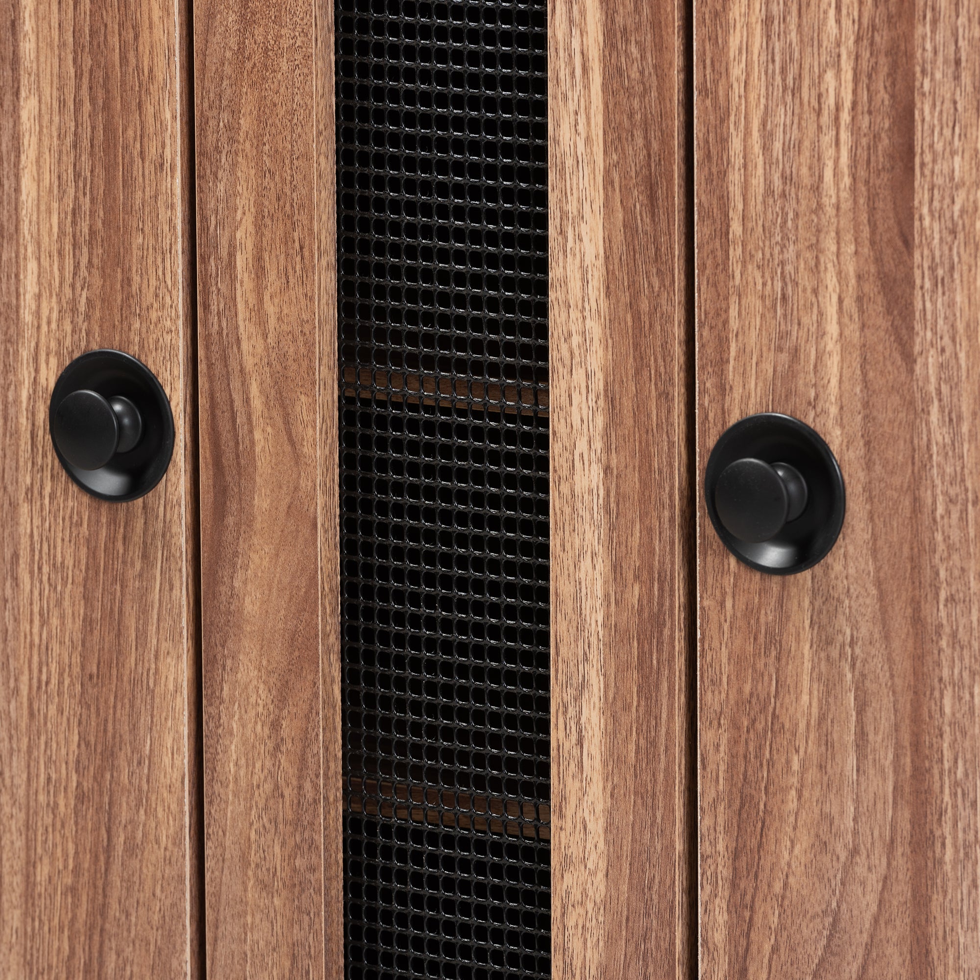Valina Contemporary Shoe Cabinet 2-Door-Shoe Cabinet-Baxton Studio - WI-Wall2Wall Furnishings