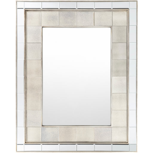 Arragon Mirror 1-Mirror-Surya-Wall2Wall Furnishings